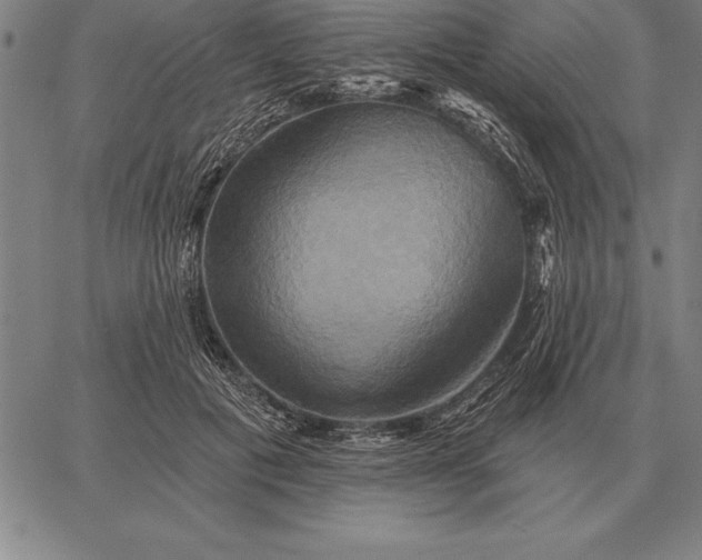 X0000067350601200604131752