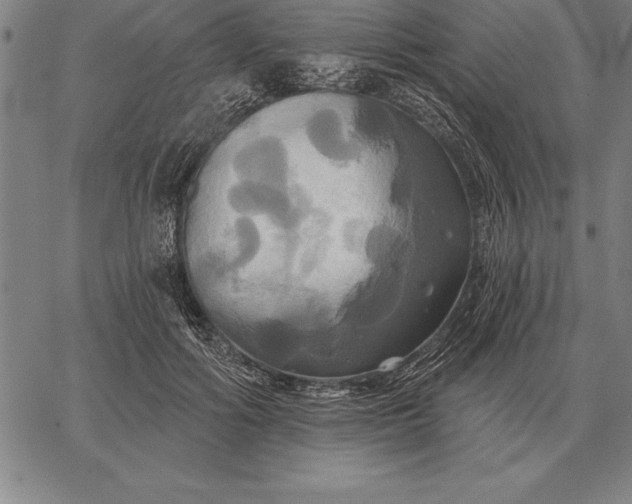 X0000067350602200604131752