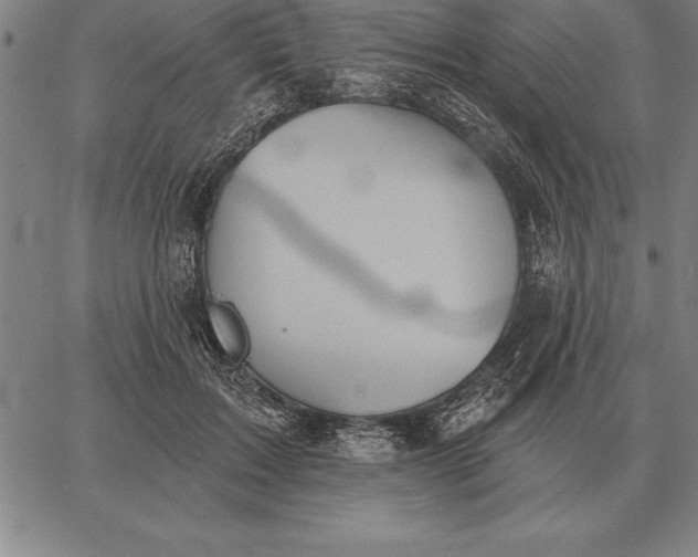 X0000067350603200604131752