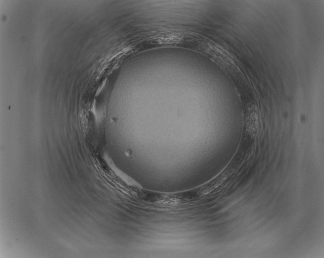 X0000067350604200604131752