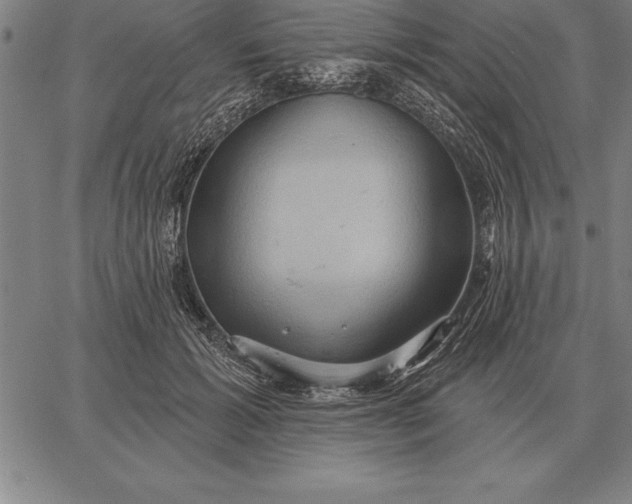 X0000067350605200604131752