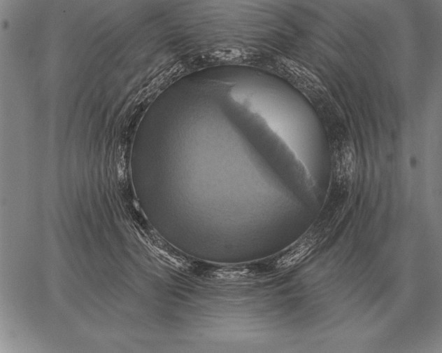 X0000067350606200604131752