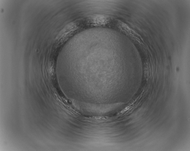 X0000067350608200604131752