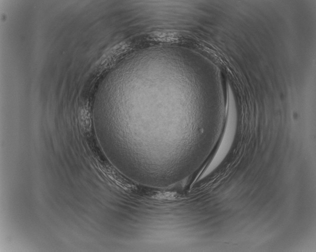 X0000067350609200604131752