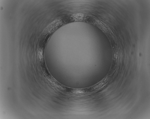 X0000067350610200604131752