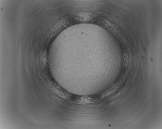 X0000067350612200604131752