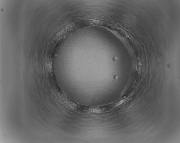 X0000067350613200604131752