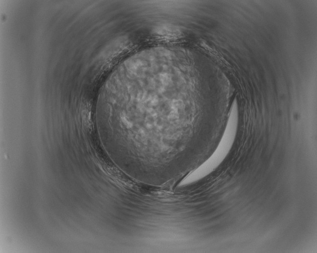 X0000067350615200604131752