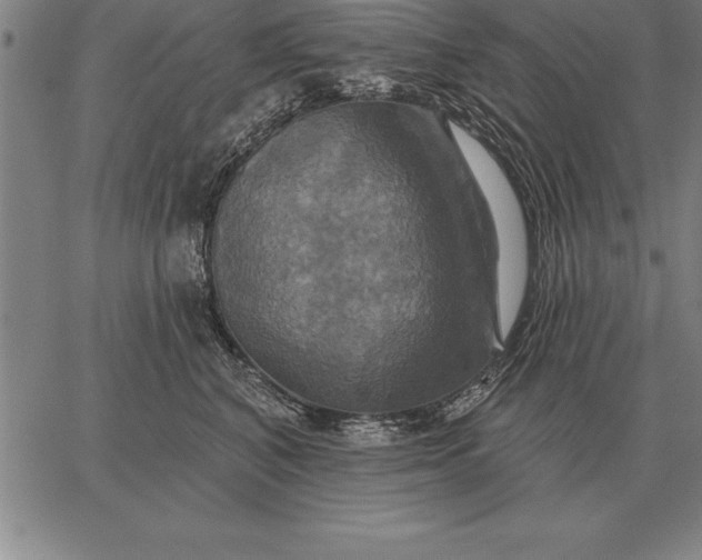 X0000067350616200604131752