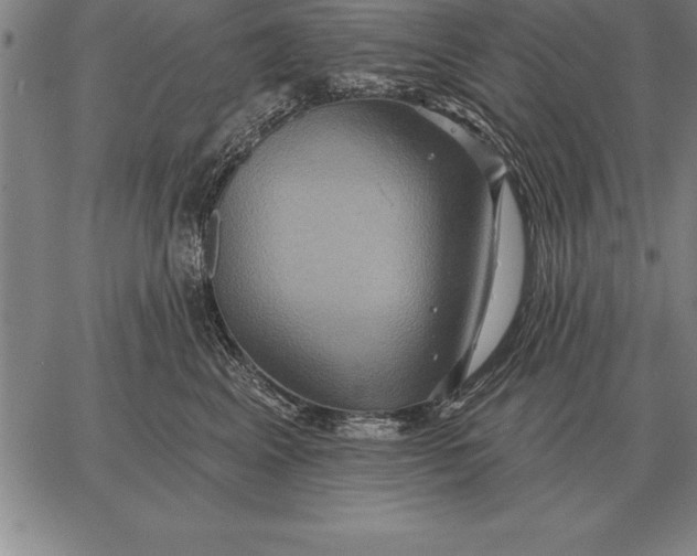 X0000067350617200604131752