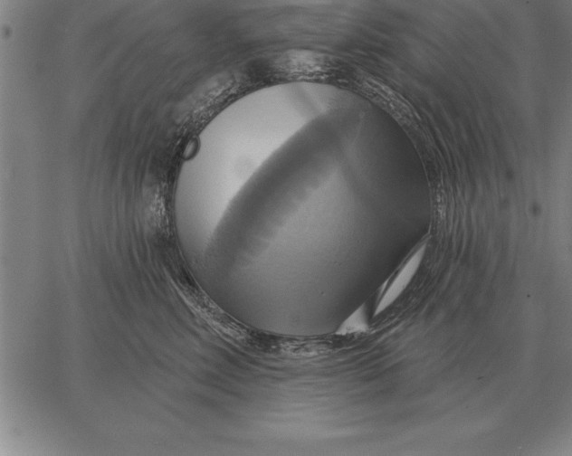 X0000067350618200604131752