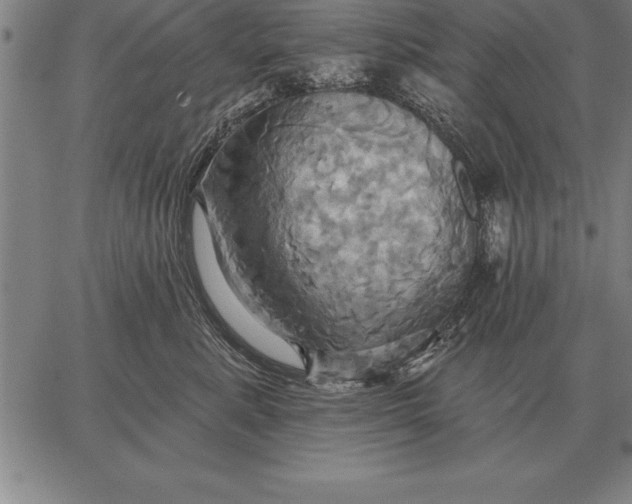 X0000067350619200604131752