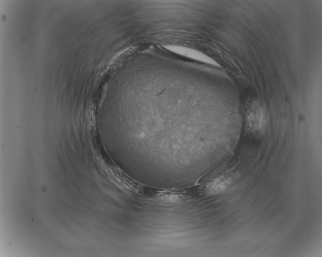 X0000067350620200604131752