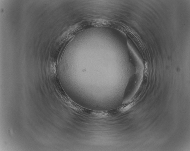 X0000067350621200604131752