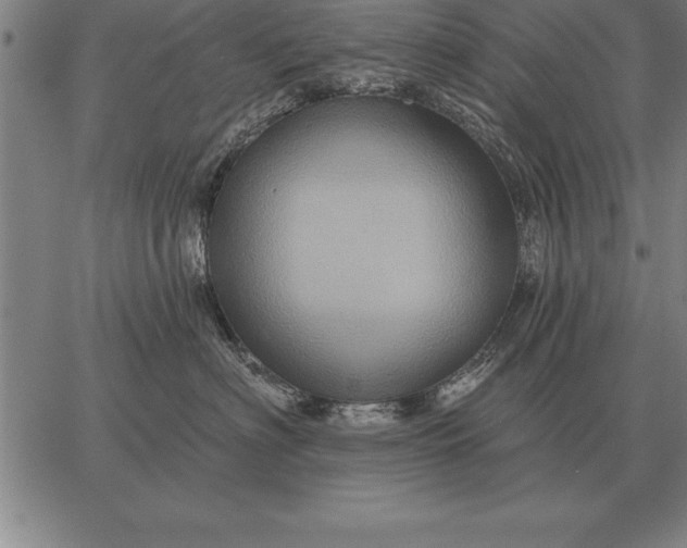 X0000067350622200604131752