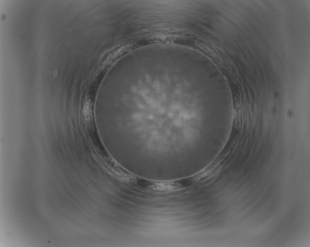 X0000067350623200604131752