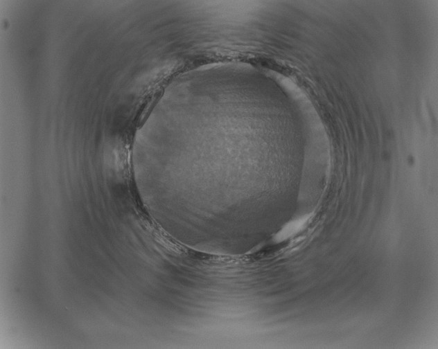 X0000067350624200604131752