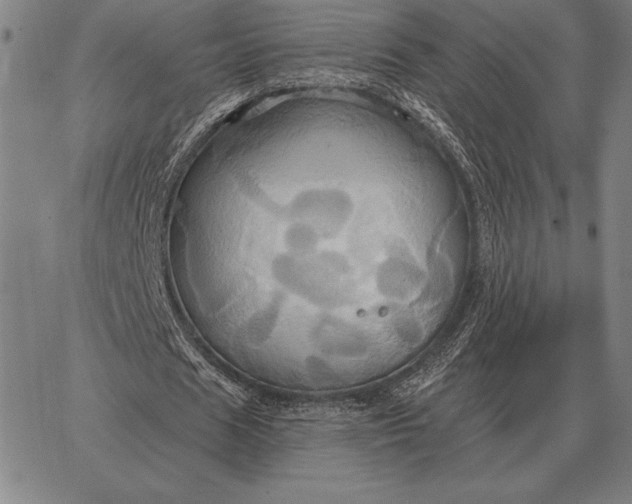 X0000067350625200604131751