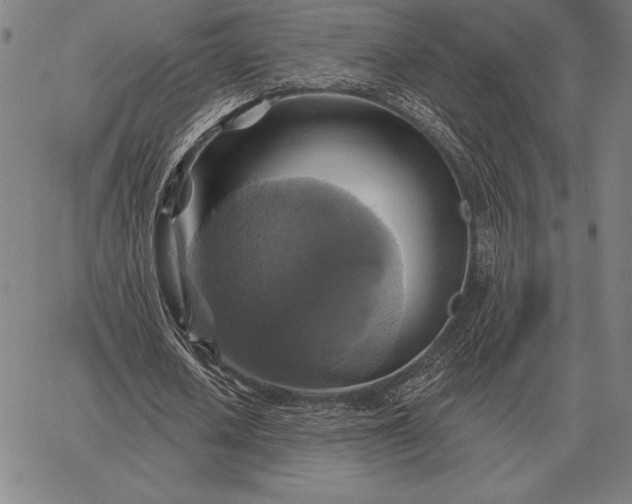 X0000067350626200604131751