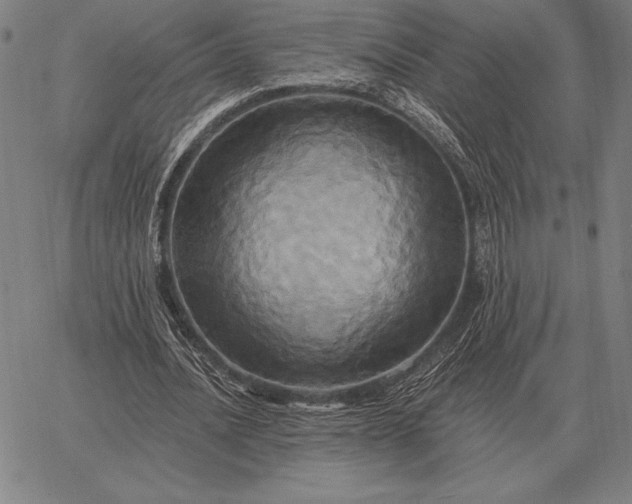 X0000067350628200604131751