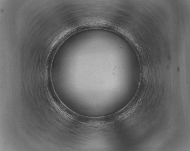 X0000067350629200604131751