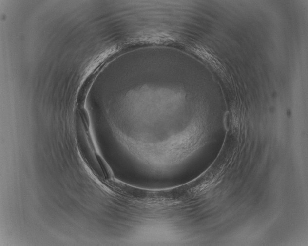 X0000067350630200604131751