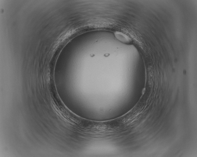 X0000067350631200604131751