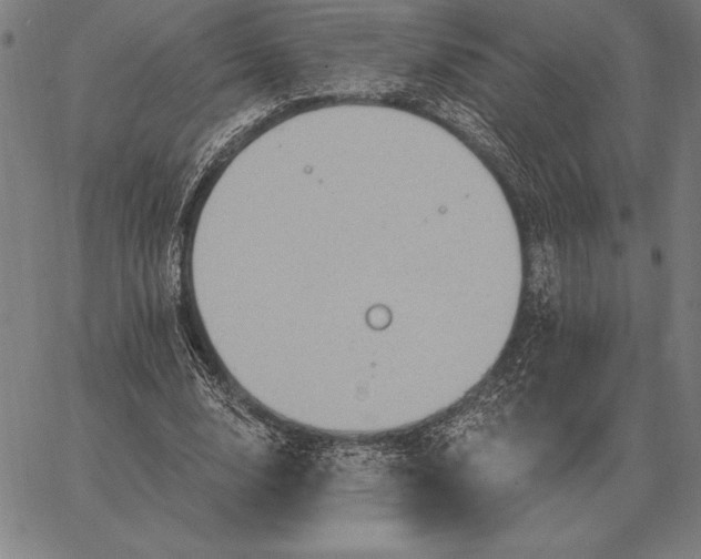 X0000067350632200604131751