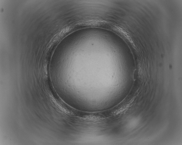 X0000067350633200604131751