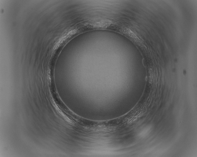 X0000067350634200604131751