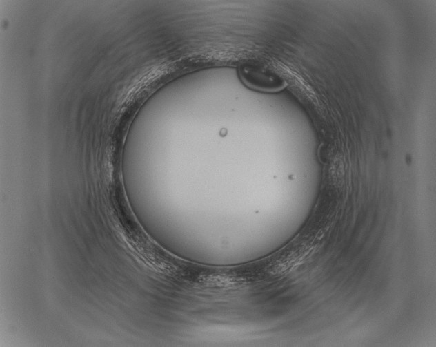 X0000067350635200604131751