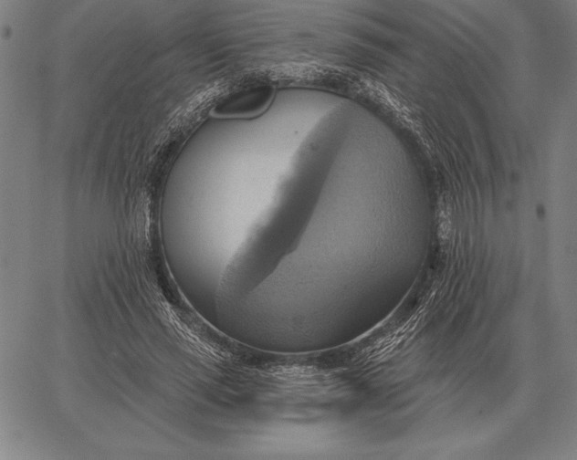 X0000067350637200604131751