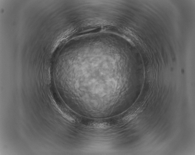 X0000067350638200604131751