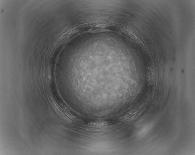 X0000067350639200604131751