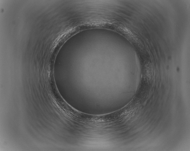 X0000067350640200604131751