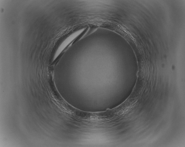 X0000067350641200604131751