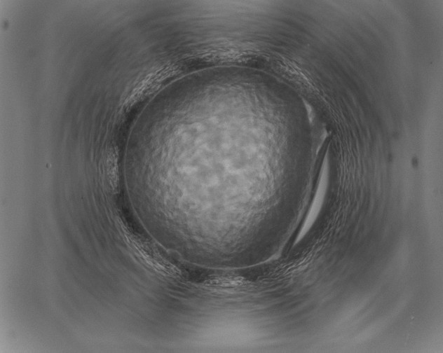 X0000067350642200604131751