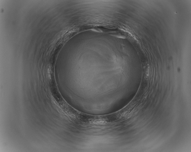 X0000067350643200604131752