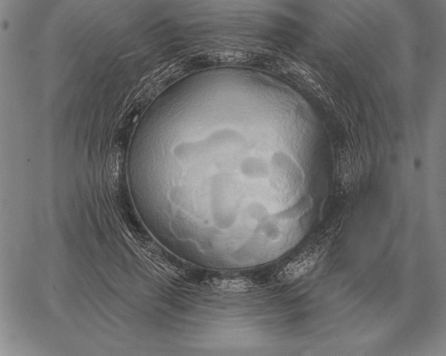 X0000067350645200604131752