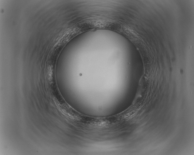 X0000067350646200604131752