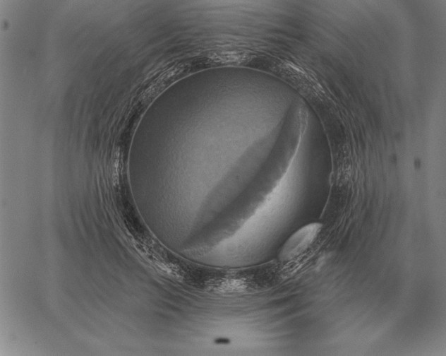 X0000067350647200604131752