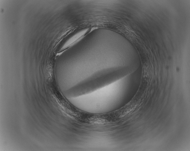 X0000067350648200604131752