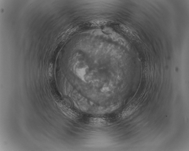 X0000067350649200604131752