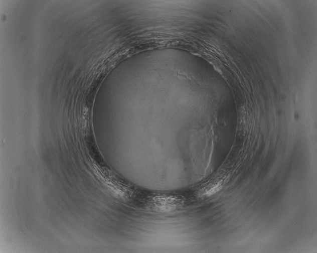 X0000067350650200604131752