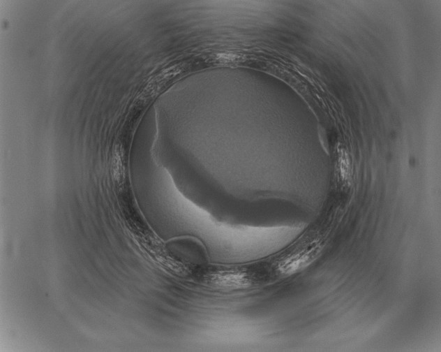 X0000067350651200604131752