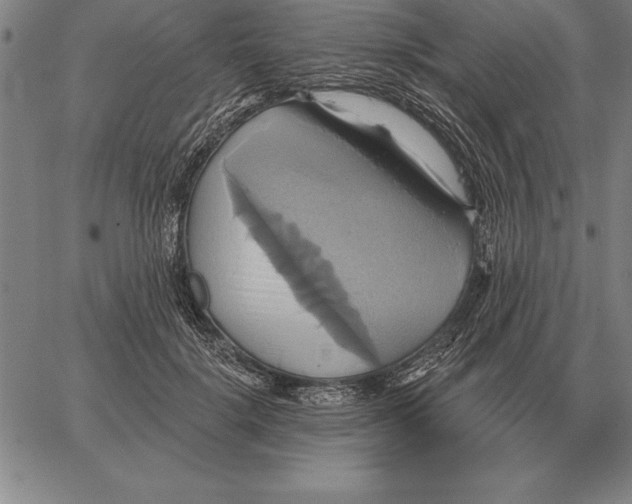 X0000067350652200604131752