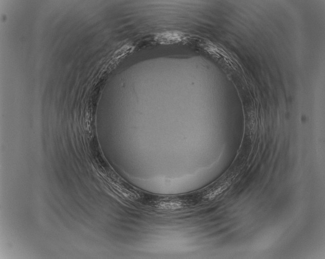 X0000067350653200604131752