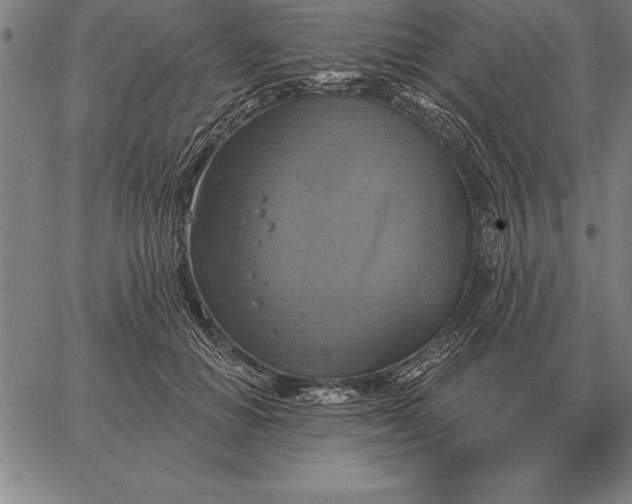 X0000067350654200604131752