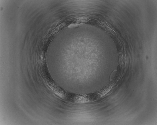 X0000067350655200604131752