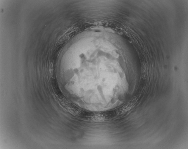 X0000067350656200604131752